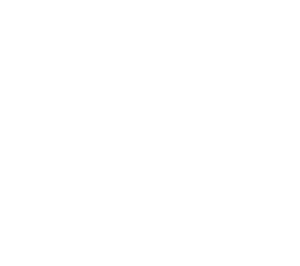 springfield commonwealth international summer school logo